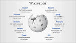 Load image into Gallery viewer, You will get a Wikipedia page created, developed and edited by a Wikipedia professional