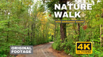 Load image into Gallery viewer, I will record walking videos in nature for youtube monetize- (1 x 5 minutes)