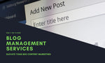 Load image into Gallery viewer, I will write an seo optimized blog post or article for your site (500 words)