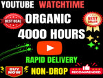Load image into Gallery viewer, You will get YouTube watch time | Organic 1000 hours watch time for channel monetization