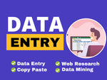 Load image into Gallery viewer, I will be your virtual assistant for data entry, data mining, copy paste, web research-3 hours of work