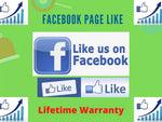 Load image into Gallery viewer, You will get Facebook 5,000 Followers and Page Like (Real &amp; organic Facebook followers)