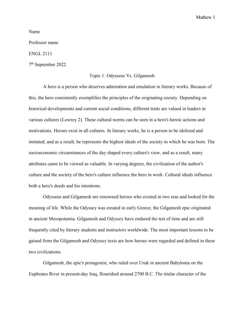 I will write high quality essay upto 5000 words