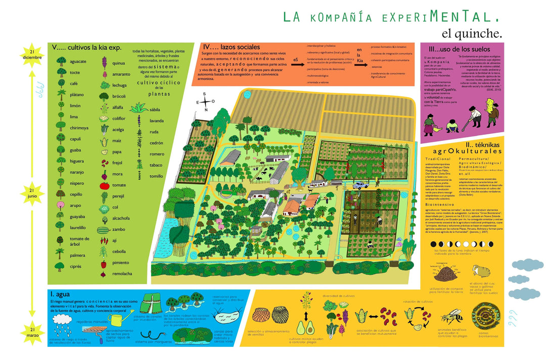 Create unique custom map illustrations and location artwork