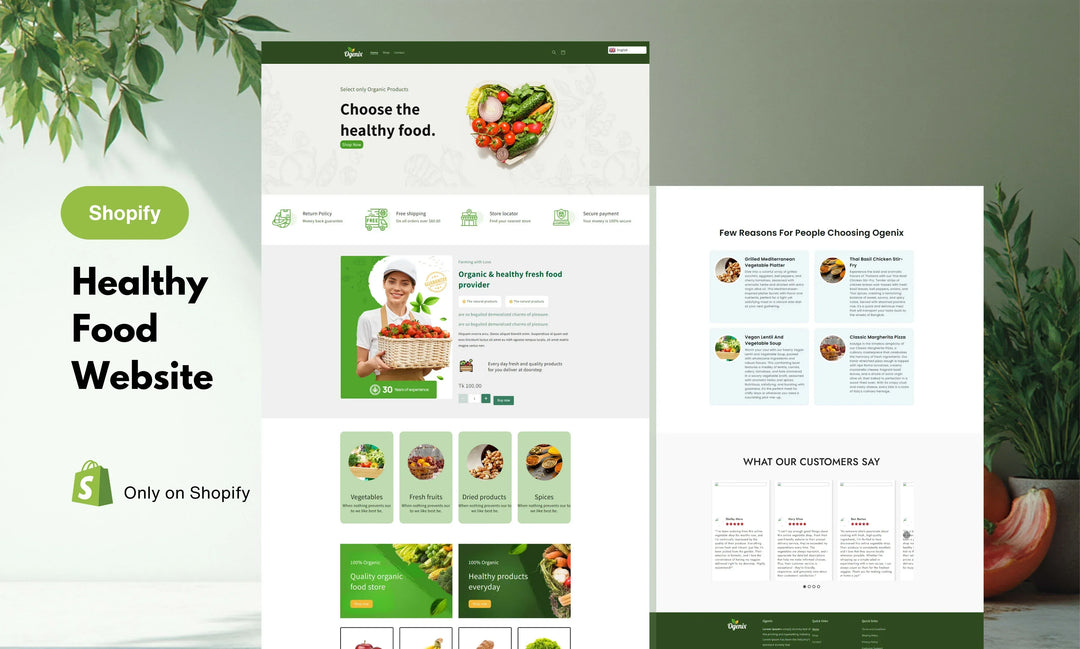 I will redesign your website into a modern professional site with up to 10 pages in Shopify